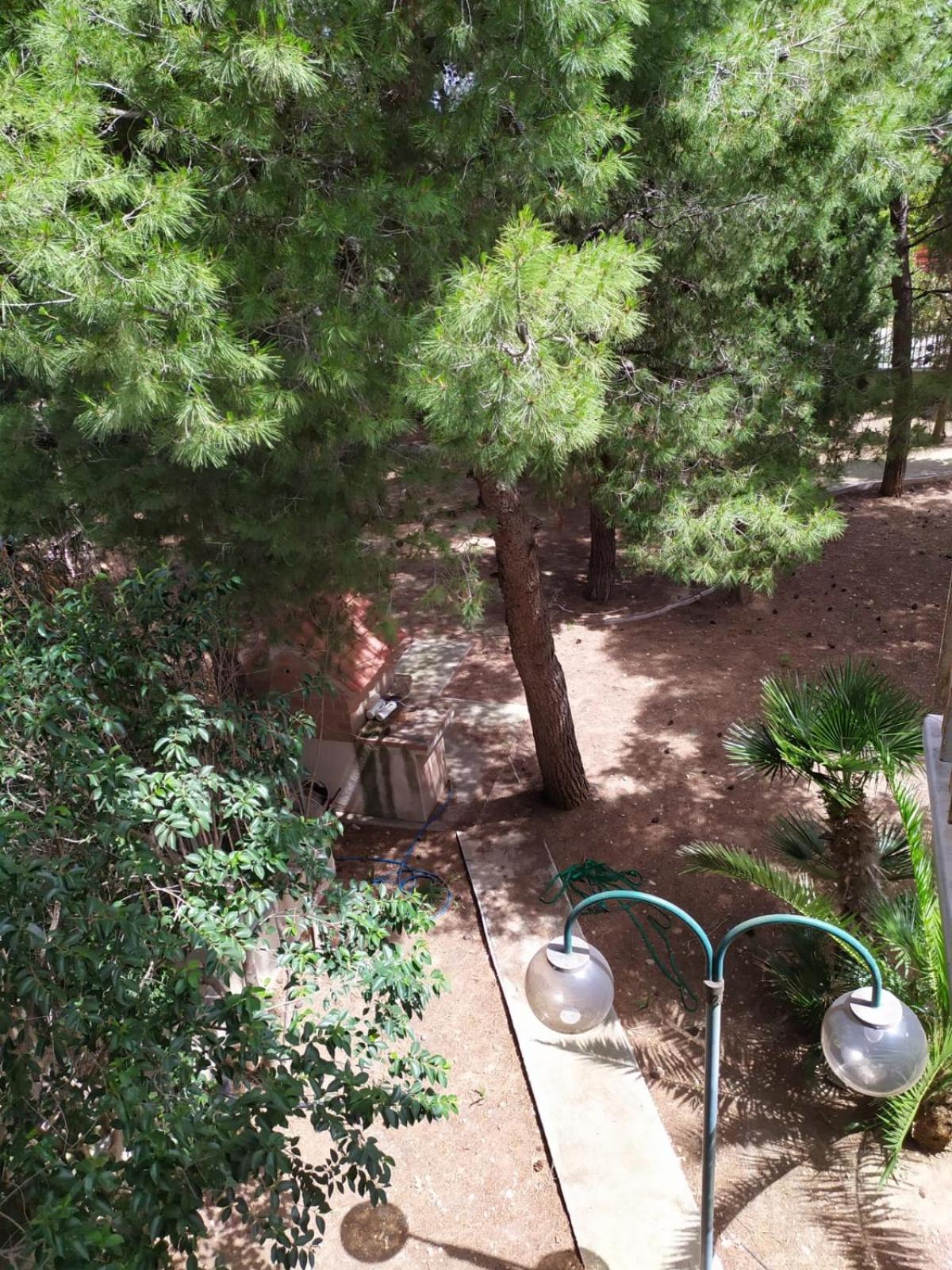 Terra Bianca Panzió Trani Szoba fotó